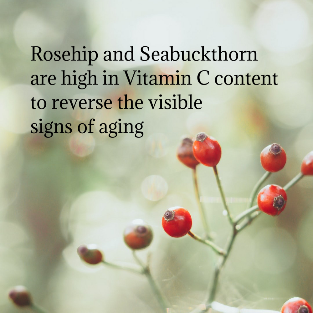 Rosehip Seabuckthorn Hand & Face Creme